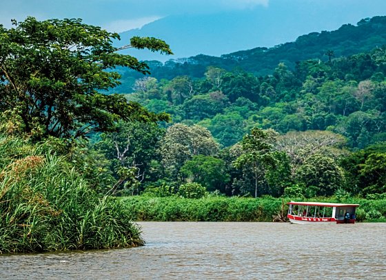 Costa Rica - Fernab der Pfade - Carara Nationalpark