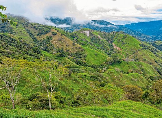 Costa Rica - Fernab der Pfade - Los Quetzales Nationalpark
