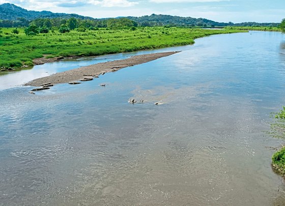 Costa Rica - Fernab der Pfade - Tarcoles Fluss