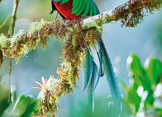 Costa Rica - Fernab der Pfade