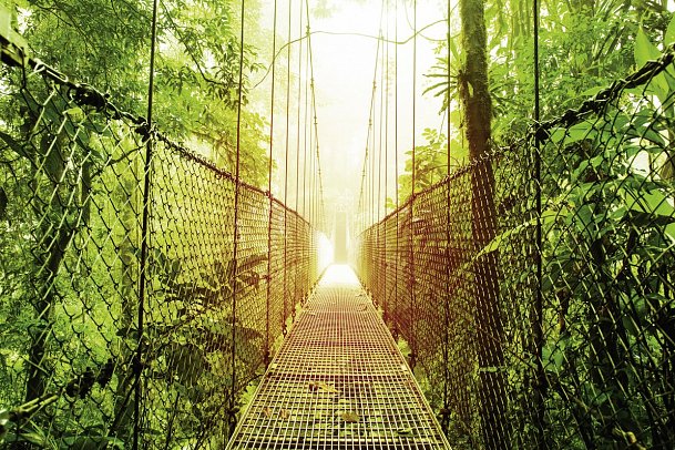 Nationalpark Arenal - Costa Rica - Arenal