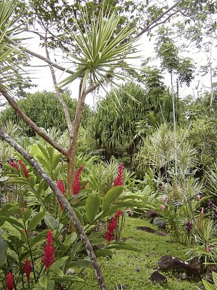 Nationalpark Arenal