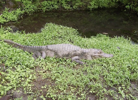 Nationalpark Arenal