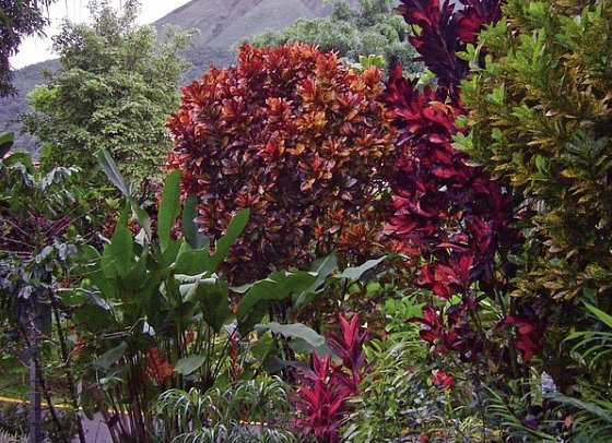 Nationalpark Arenal