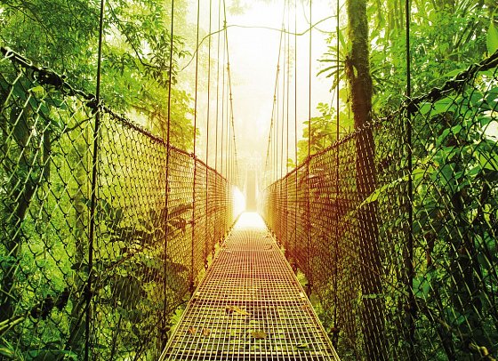 Nationalpark Arenal - Costa Rica - Arenal