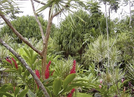 Nationalpark Arenal