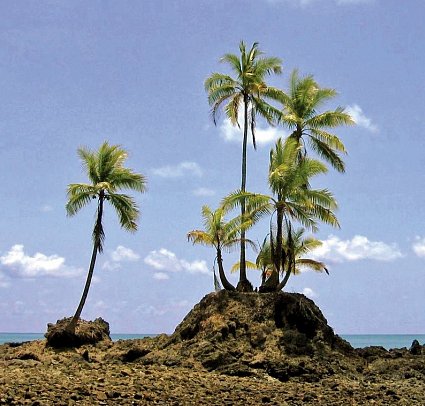 Nationalpark Corcovado