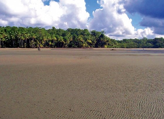 Nationalpark Corcovado