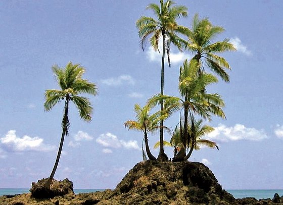 Nationalpark Corcovado