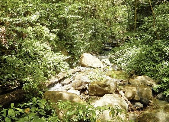 Nationalpark Rincón de le Vieja