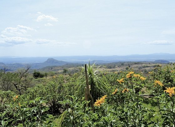 Nationalpark Rincón de le Vieja