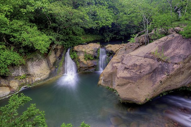 Costa Rica - Auf der Suche nach den Faultieren