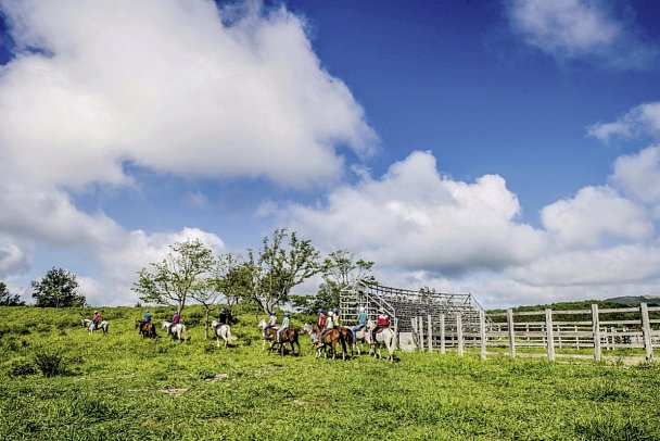 Costa Rica - Auf der Suche nach den Faultieren