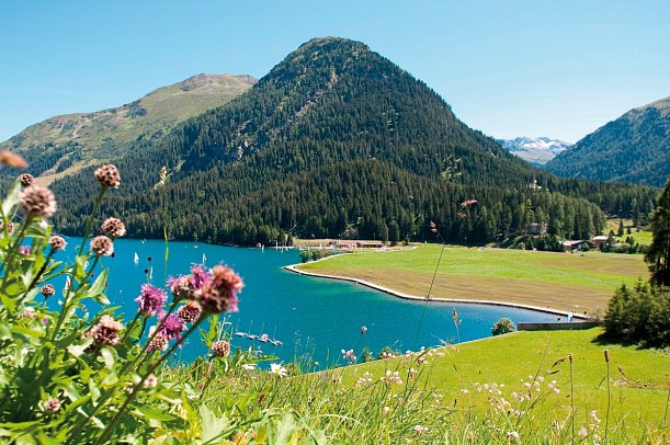 Alpine Circle Bahnwandern (4 Nächte)