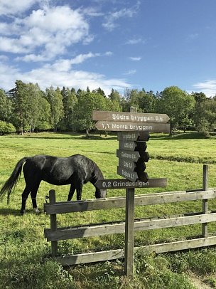 Stockholm - Inselhüpfen auf den Schären - Insel Grinda