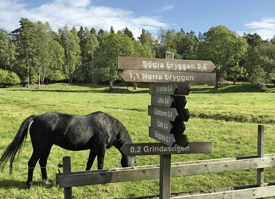 Stockholm - Inselhüpfen auf den Schären - Insel Grinda