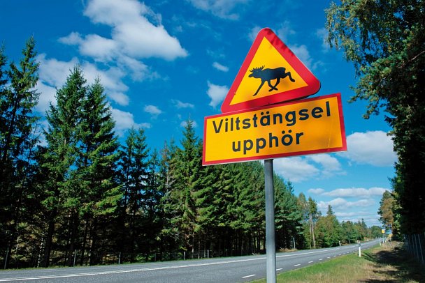 Von Küste zu Küste (ab Stockholm)