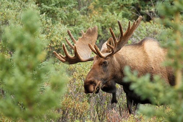 Von Küste zu Küste (ab Stockholm)
