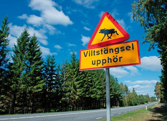 Von Küste zu Küste (ab Stockholm)