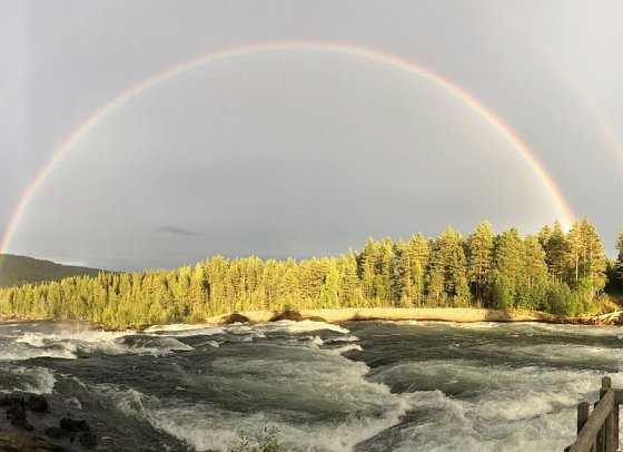 Natur pur – Nordschwedens Traumstraßen - Stromschnellen Storfossen