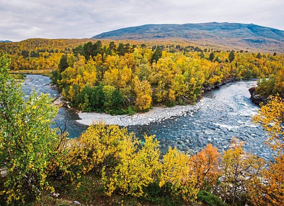 Natur pur – Nordschwedens Traumstraßen - Abisko Nationalpark