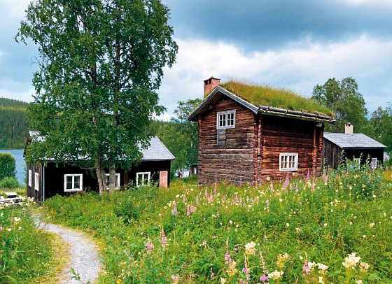 Natur pur – Nordschwedens Traumstraßen - Fatmomakke