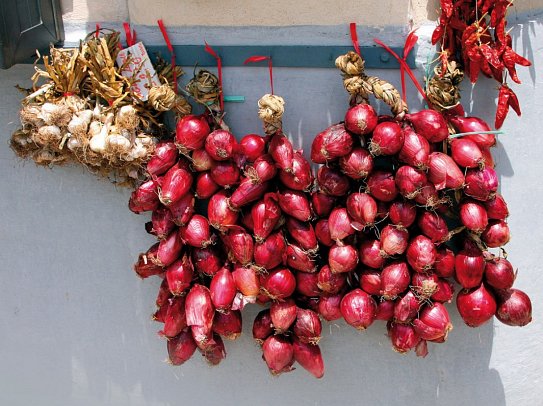 Fantastische Vielfalt Süditaliens