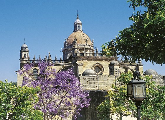 Das Beste von Andalusien (ab/bis Sevilla) - Jerez de la Frontera