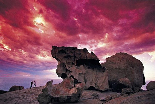 Faszination des Südens (Sydney-Adelaide) - Kangaroo Island