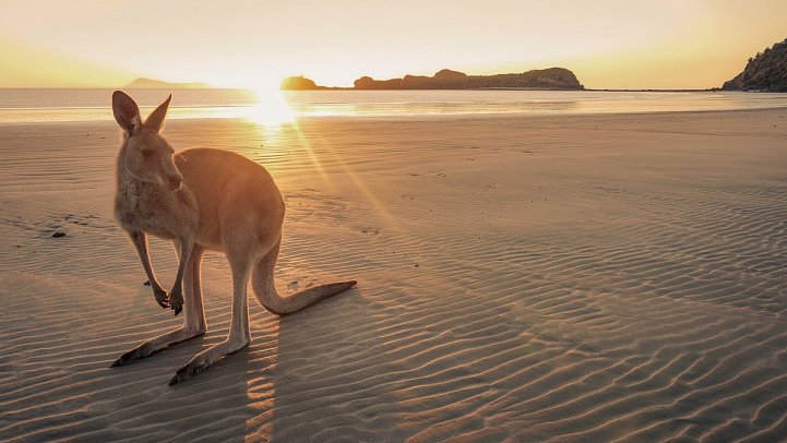 Faszination des Südens (Sydney-Adelaide)