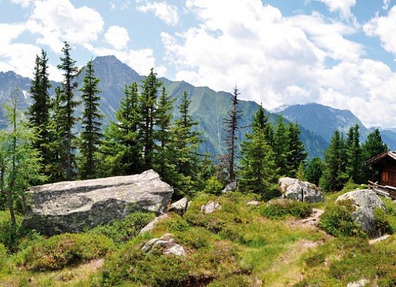 Nationalpark & Gletscherwelten - Bergpanorama mit Almhütte
