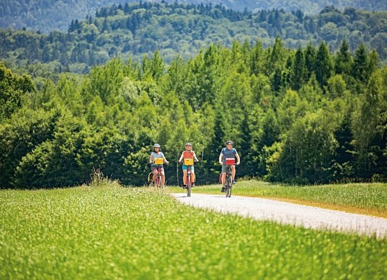 Zehn-Seen-Rundfahrt - Wals