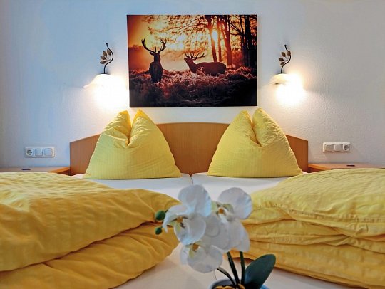 Hotel Wasserfall - Wohnbeispiel Doppelzimmer Standard (Zimmercodierung DG2)