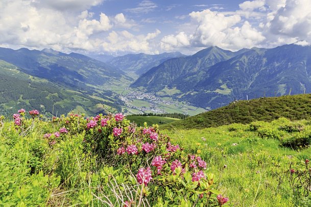 Das Alpenhaus Gasteinertal