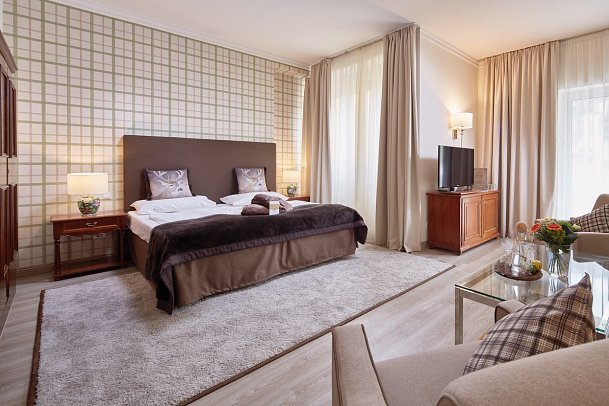 Das Alpenhaus Gasteinertal - Wohnbeispiel Doppelzimmer Alpenwohnen M (Zimmercodierung DF1)