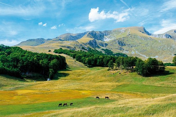 Montenegro in allen Facetten erleben