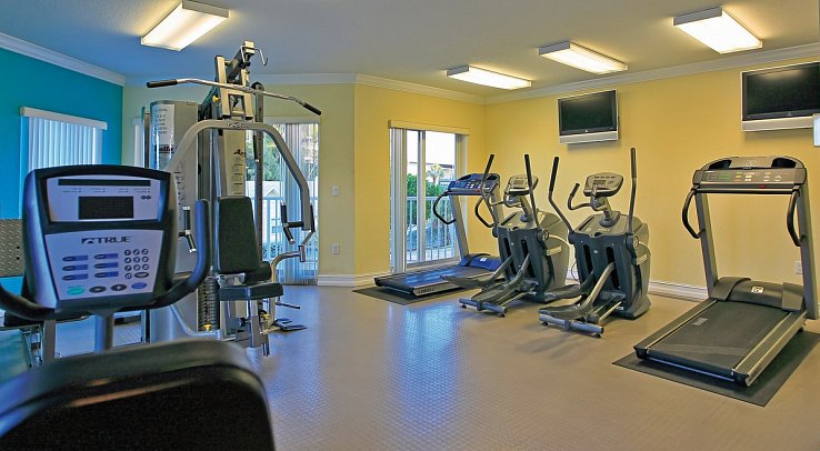 Sunset Vista Two bedroom Beachfront Suites Apartments