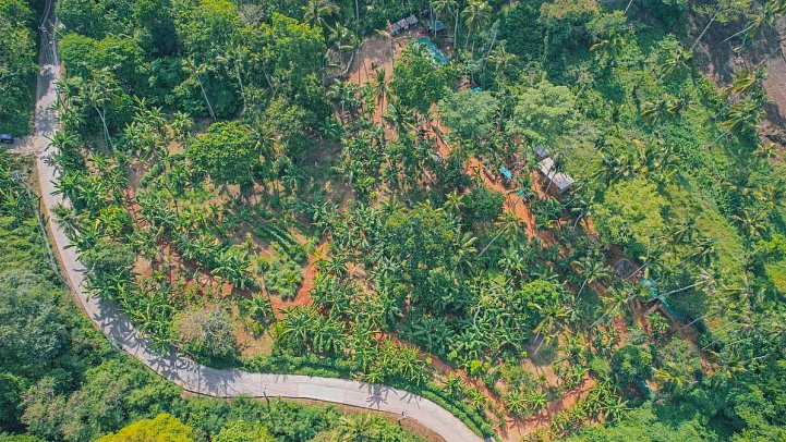 Conrad Koh Samui - Iris Farm