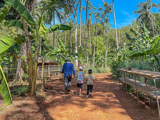 Conrad Koh Samui - Kids Activity - Farm Tour