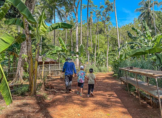 Conrad Koh Samui - Kids Activity - Farm Tour