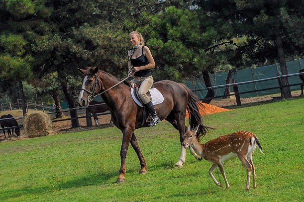 Ferieninsel Albarella