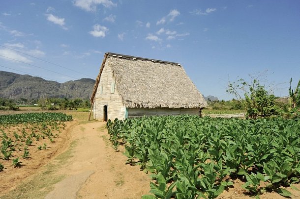 Faszination Westkuba - Viñales-Tal