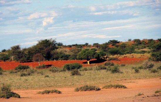 Namibias Nationalparks