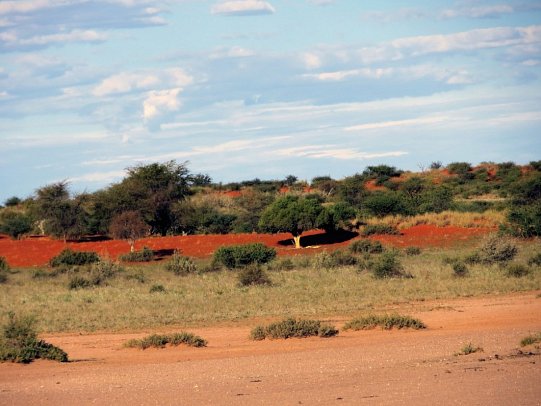Namibias Nationalparks - Kalahari