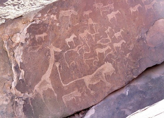 Namibias Nationalparks - Felsgravuren, Twyfelfontein