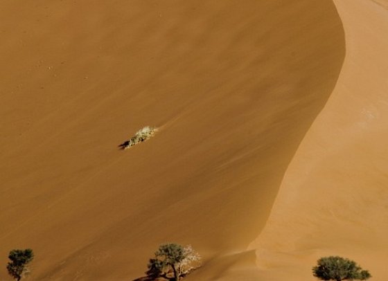 Namibias Nationalparks - Sossusvlei