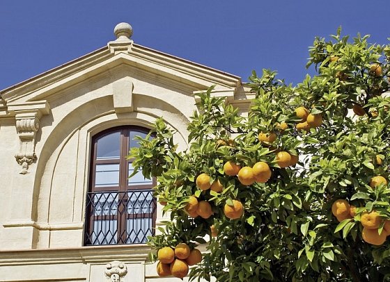 Das Beste von Andalusien (ab/bis Jerez)