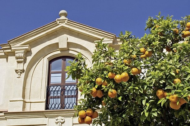 Das Beste von Andalusien (ab/bis Jerez)