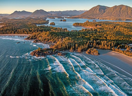 Bären, Wale & Vancouver Island - Tofino