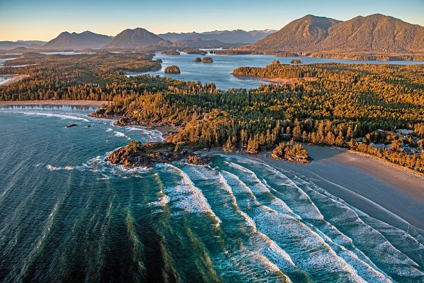 Bären, Wale & Vancouver Island - Tofino